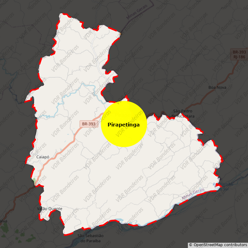 Imagem da Bandeira Pirapetinga