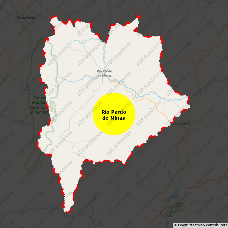 Imagem da Bandeira Rio Pardo de Minas