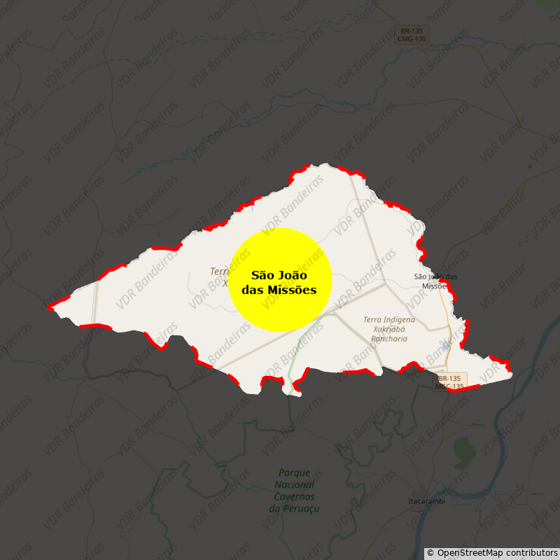 Imagem da Bandeira São João das Missões