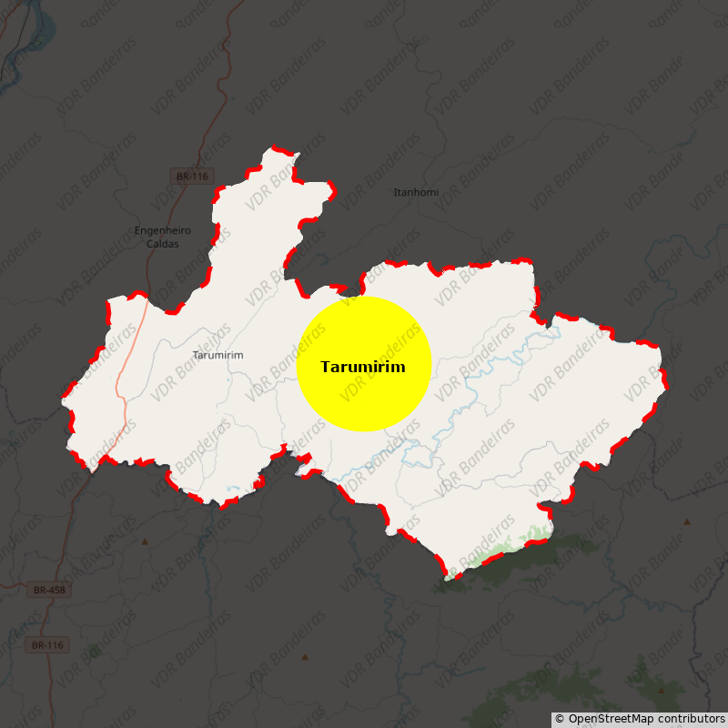 Imagem da Bandeira Tarumirim