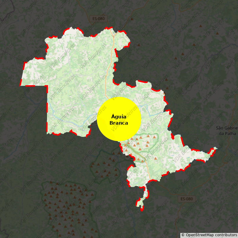 Imagem da Bandeira Águia Branca