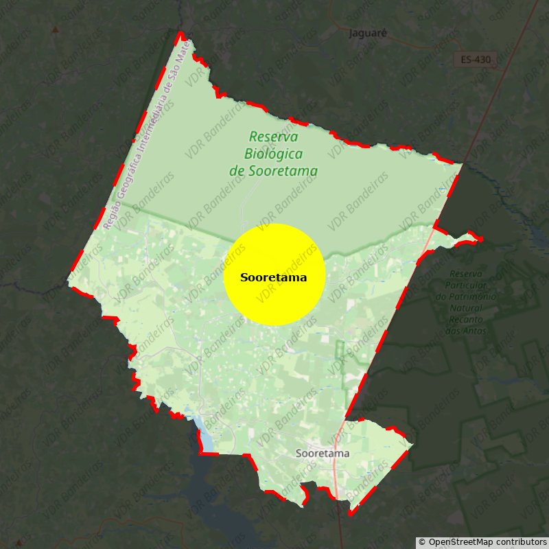 Imagem da Bandeira Sooretama