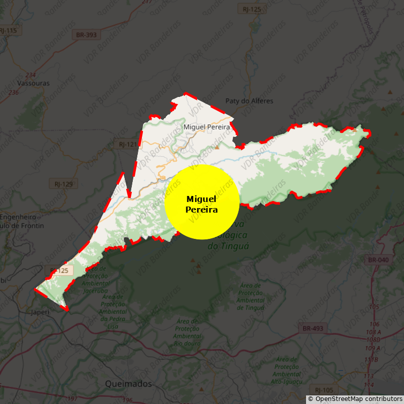 Imagem da Bandeira Miguel Pereira