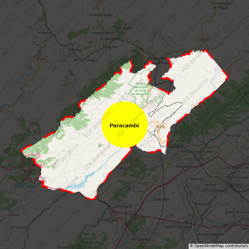 Imagem da Bandeira Paracambi