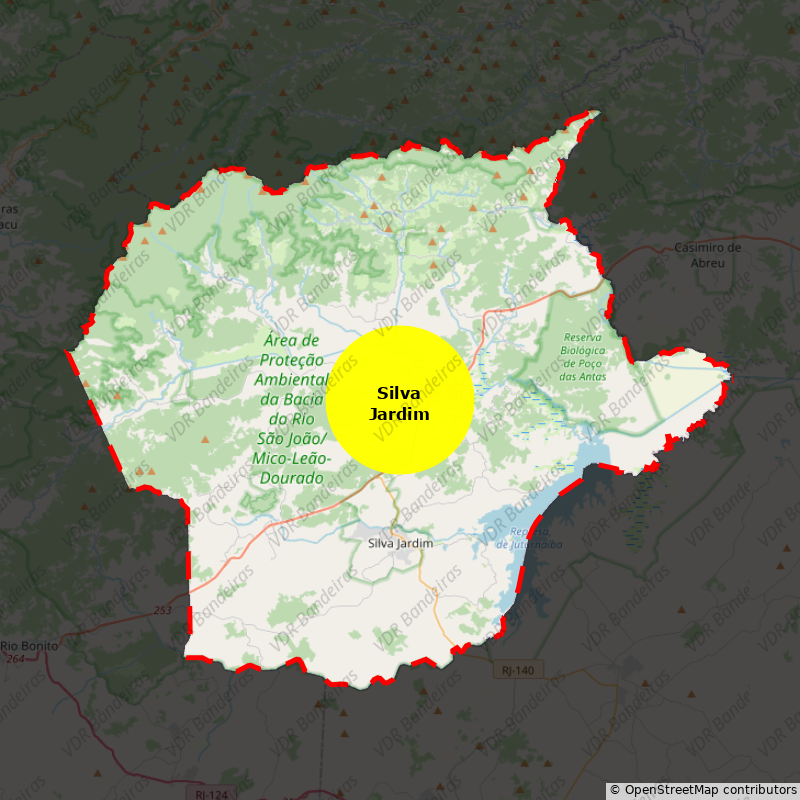 Imagem da Bandeira Silva Jardim