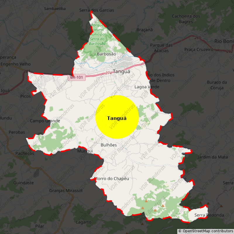 Imagem da Bandeira Tanguá