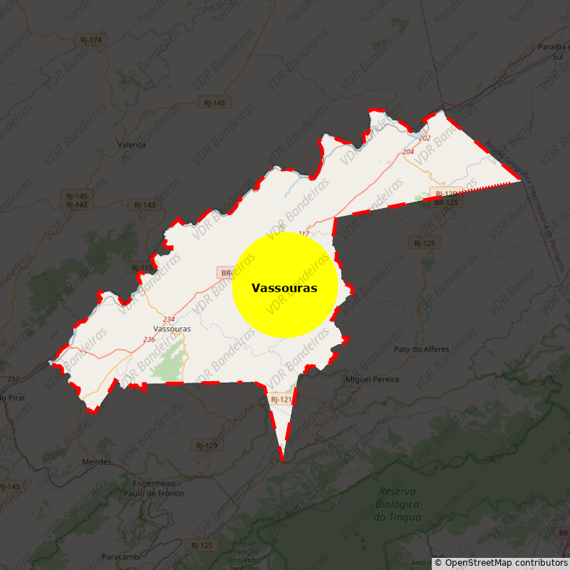 Imagem da Bandeira Vassouras