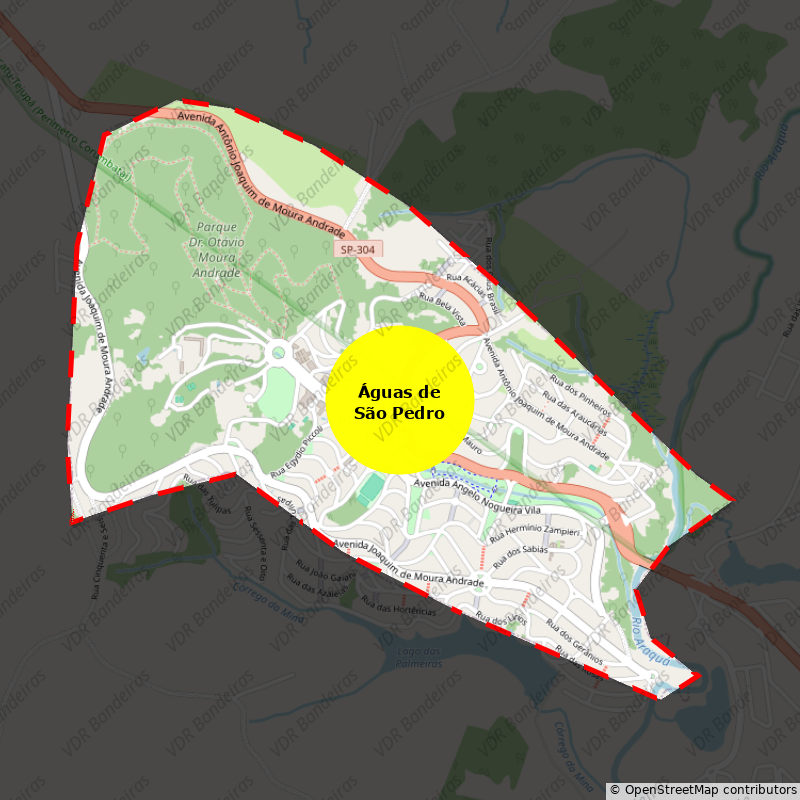 Imagem da Bandeira Águas de São Pedro