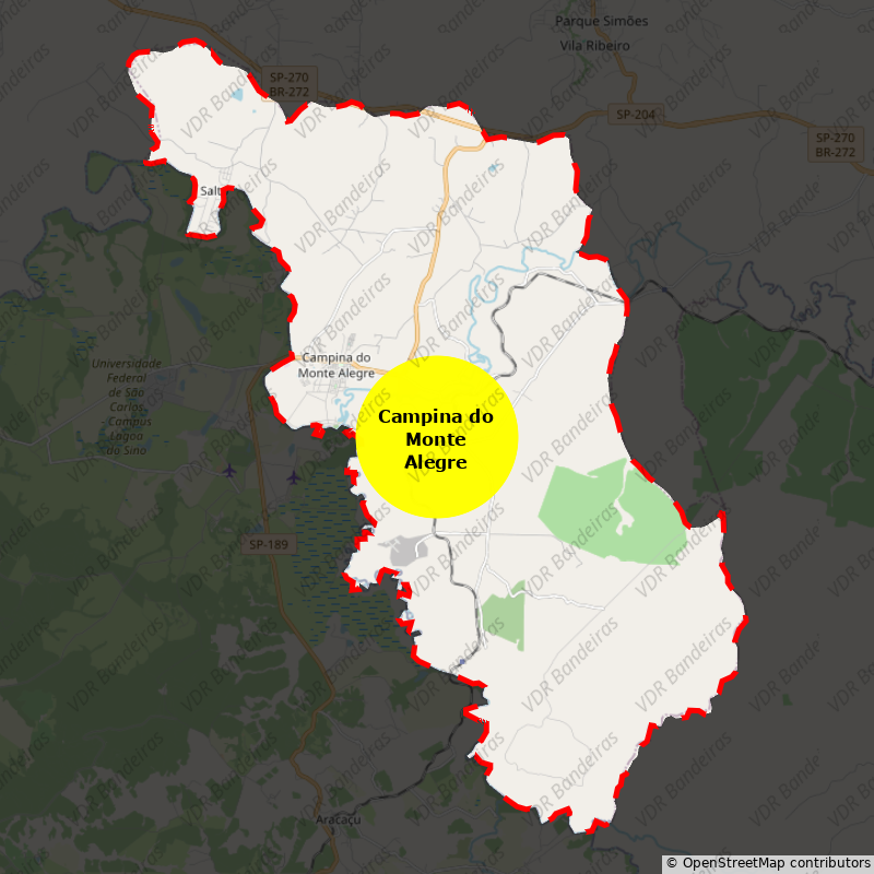 Imagem da Bandeira Campina do Monte Alegre