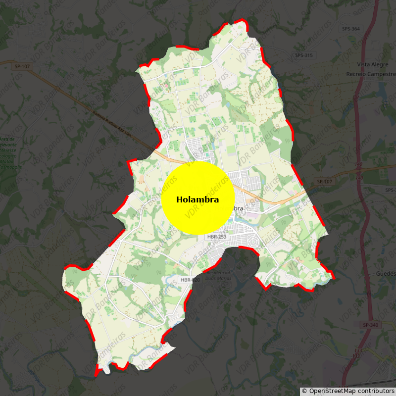 Imagem da Bandeira Holambra