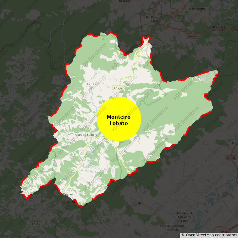Imagem da Bandeira Monteiro Lobato