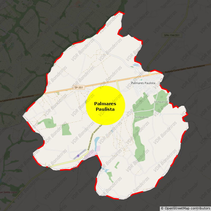 Imagem da Bandeira Palmares Paulista