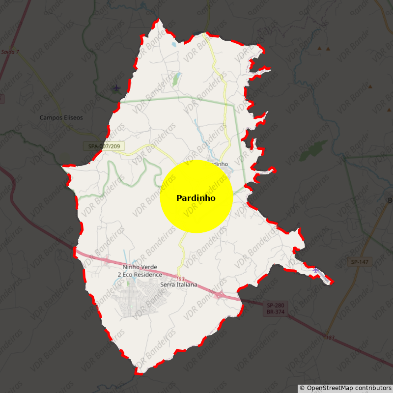 Imagem da Bandeira Pardinho