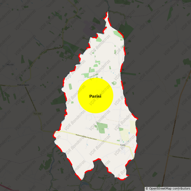 Imagem da Bandeira Parisi