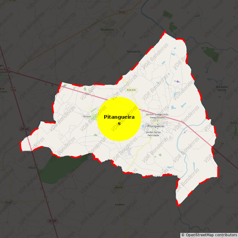 Imagem da Bandeira Pitangueiras