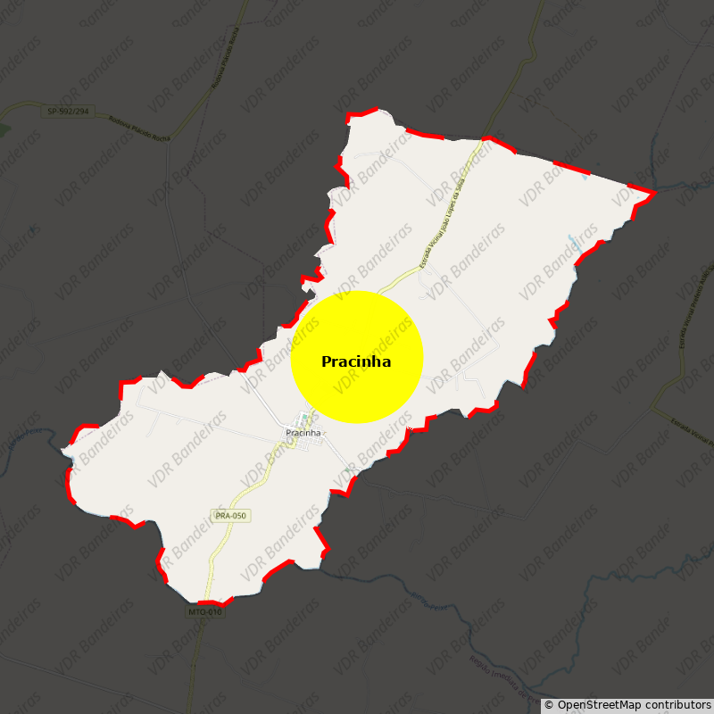 Imagem da Bandeira Pracinha