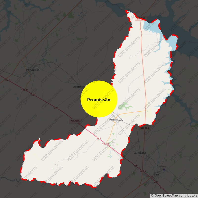 Imagem da Bandeira Promissão