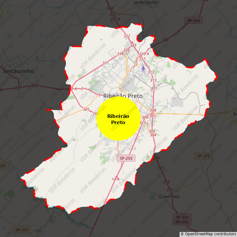 Imagem da Bandeira Ribeirão Preto