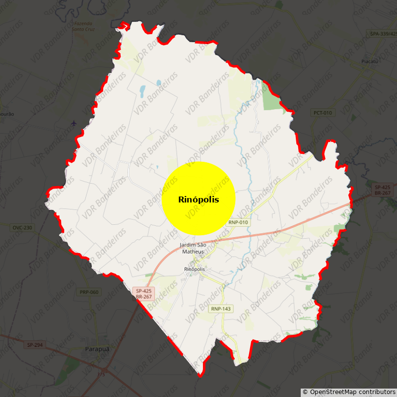 Imagem da Bandeira Rinópolis