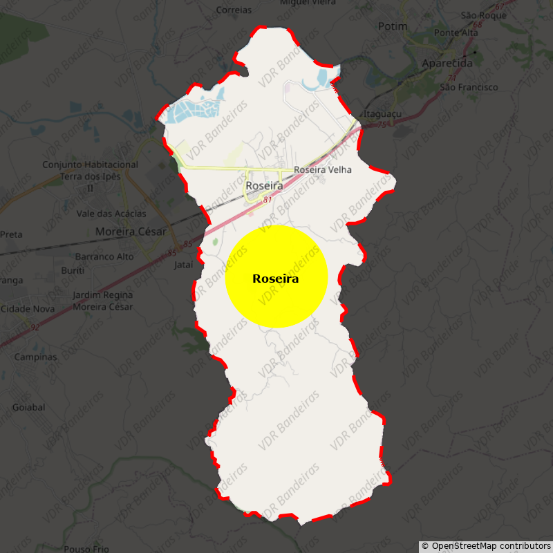 Imagem da Bandeira Roseira