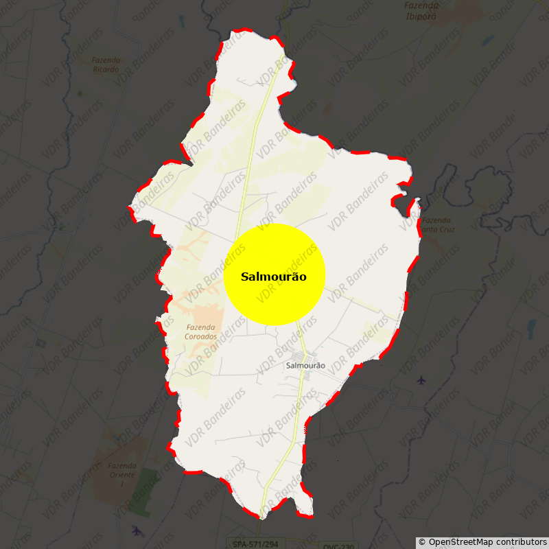 Imagem da Bandeira Salmourão
