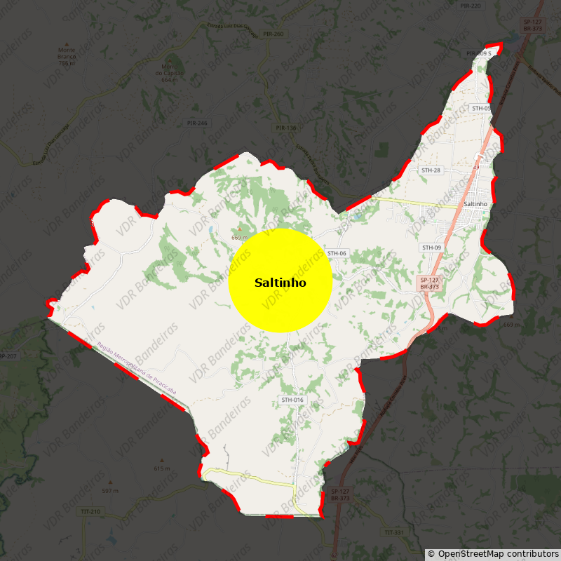 Imagem da Bandeira Saltinho