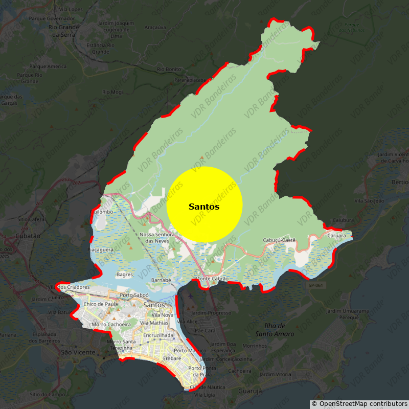 Imagem da Bandeira Santos