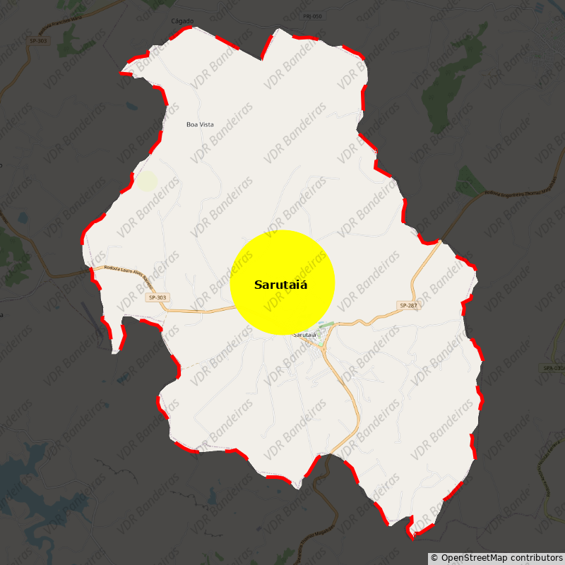 Imagem da Bandeira Sarutaiá