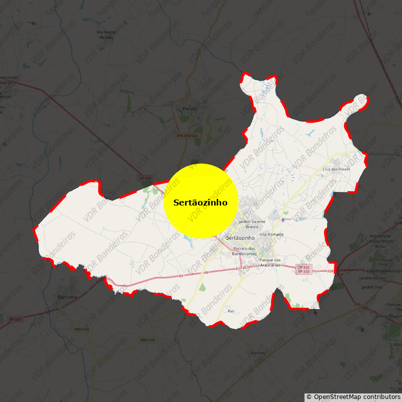 Imagem da Bandeira Sertãozinho