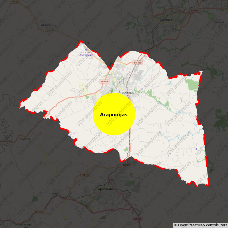 Imagem da Bandeira Arapongas