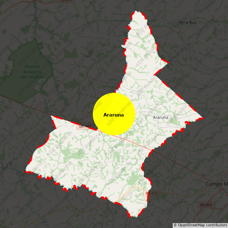 Imagem da Bandeira Araruna