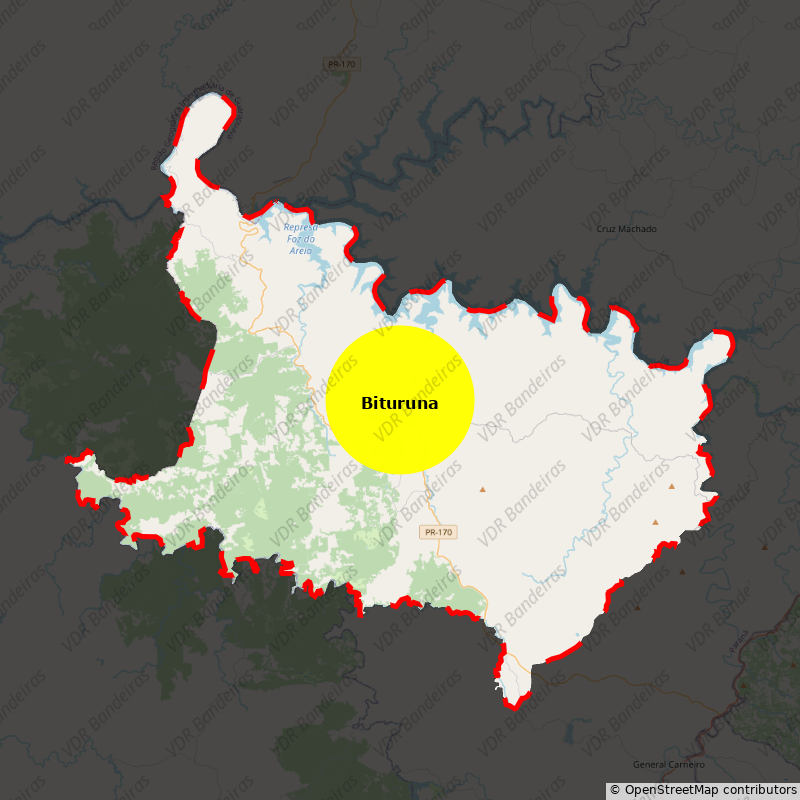 Imagem da Bandeira Bituruna
