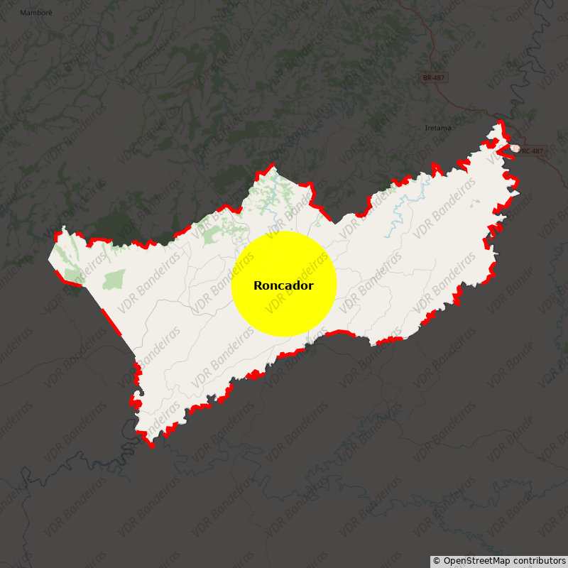 Imagem da Bandeira Roncador