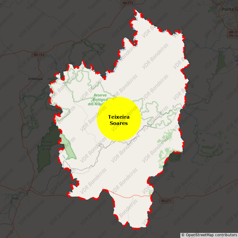 Imagem da Bandeira Teixeira Soares