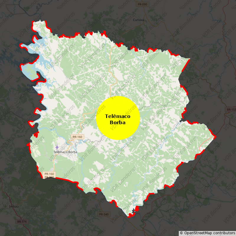 Imagem da Bandeira Telêmaco Borba