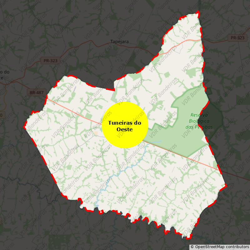 Imagem da Bandeira Tuneiras do Oeste