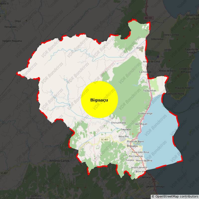 Imagem da Bandeira Biguaçu