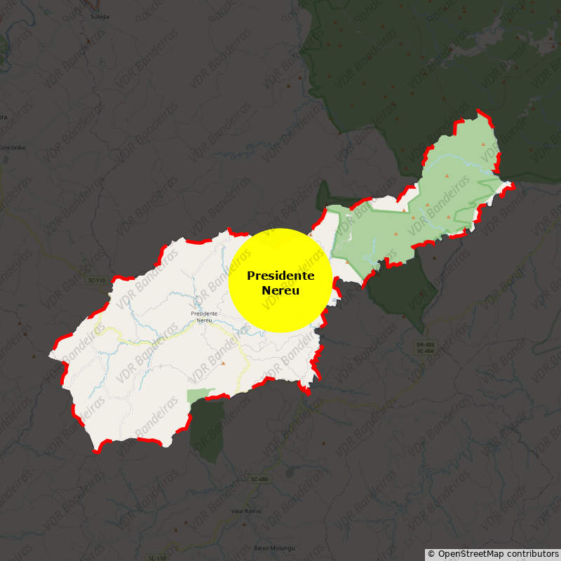 Imagem da Bandeira Presidente Nereu