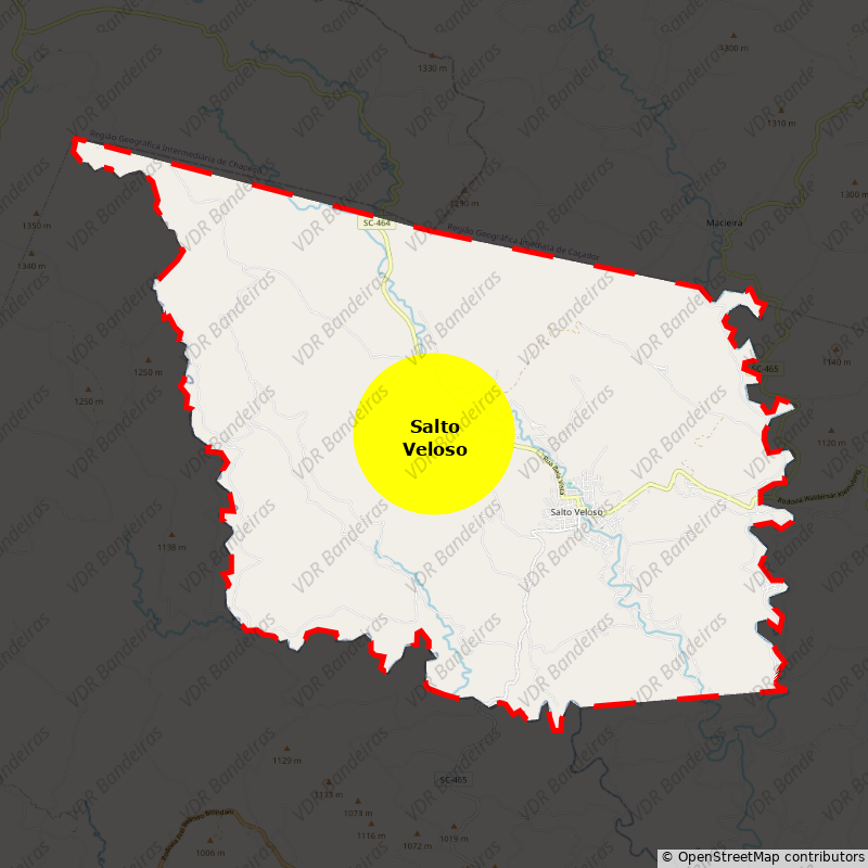 Imagem da Bandeira Salto Veloso