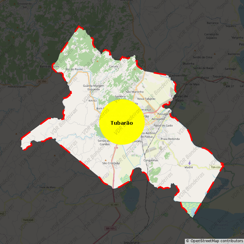 Imagem da Bandeira Tubarão