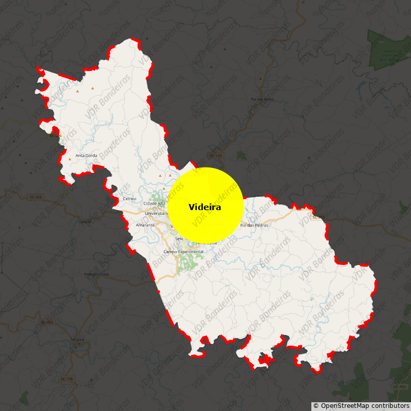 Imagem da Bandeira Videira