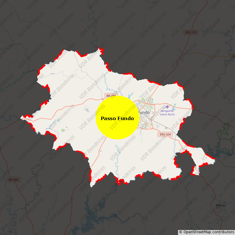 Imagem da Bandeira Passo Fundo