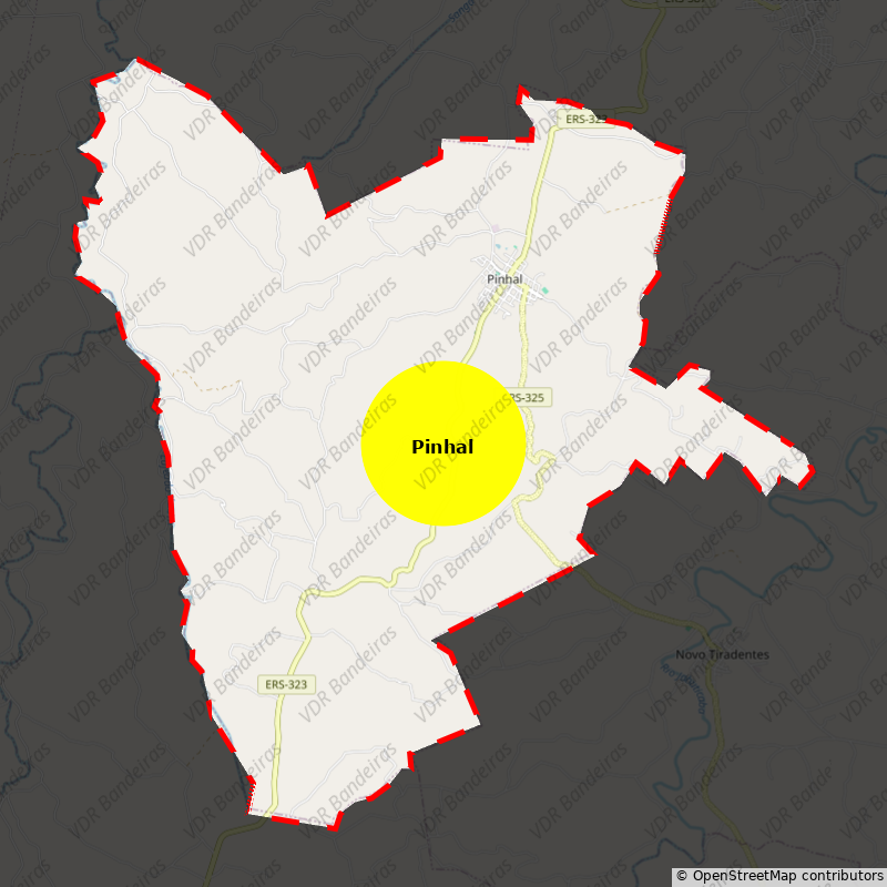 Imagem da Bandeira Pinhal