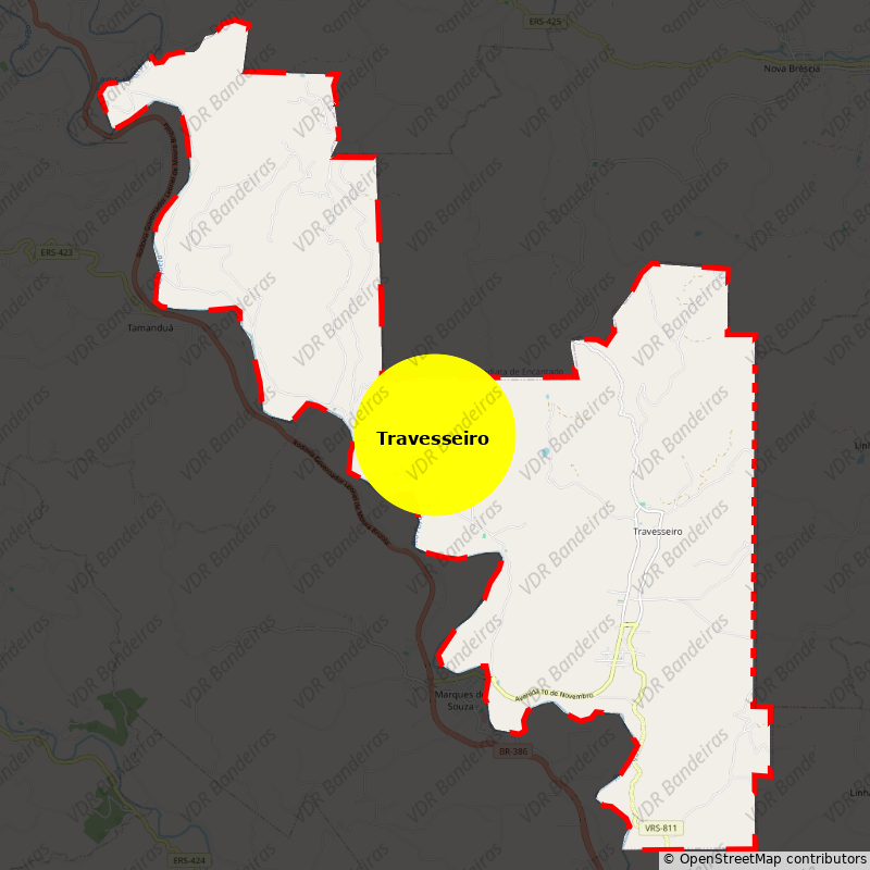 Imagem da Bandeira Travesseiro