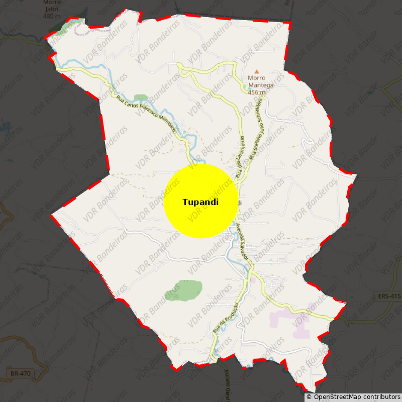 Imagem da Bandeira Tupandi