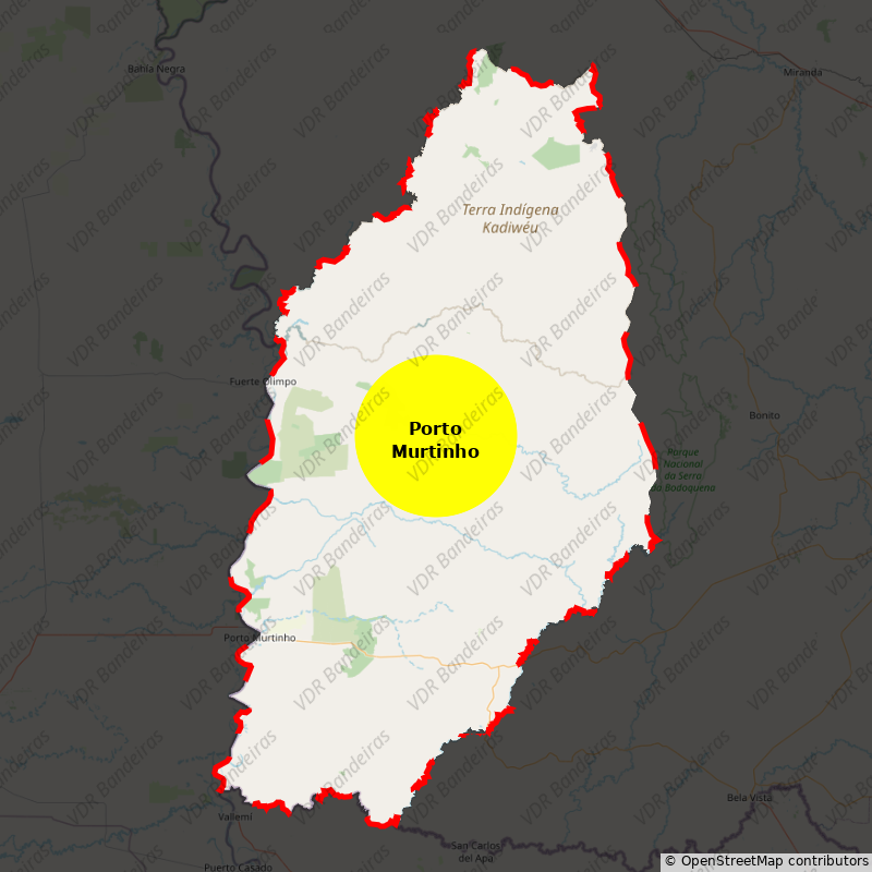 Imagem da Bandeira Porto Murtinho