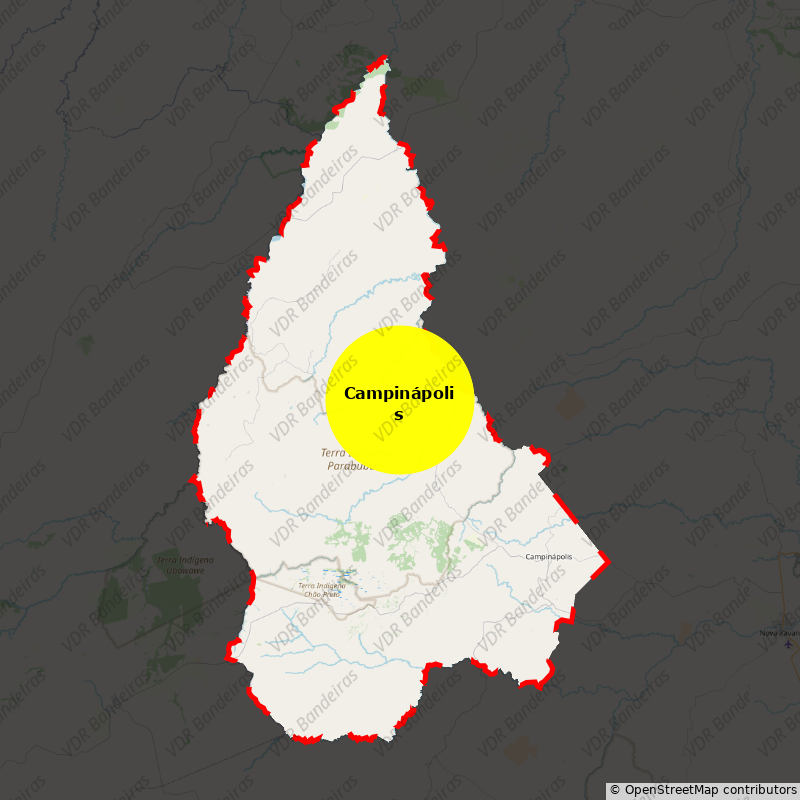 Imagem da Bandeira Campinápolis
