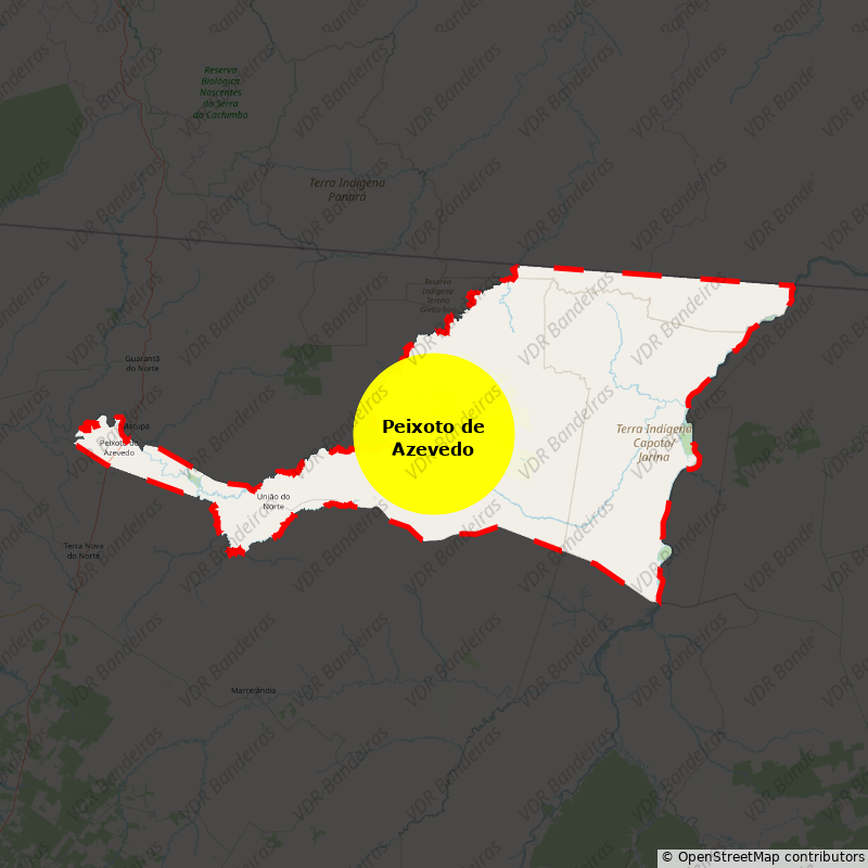 Imagem da Bandeira Peixoto de Azevedo