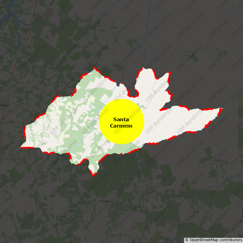 Imagem da Bandeira Santa Carmem