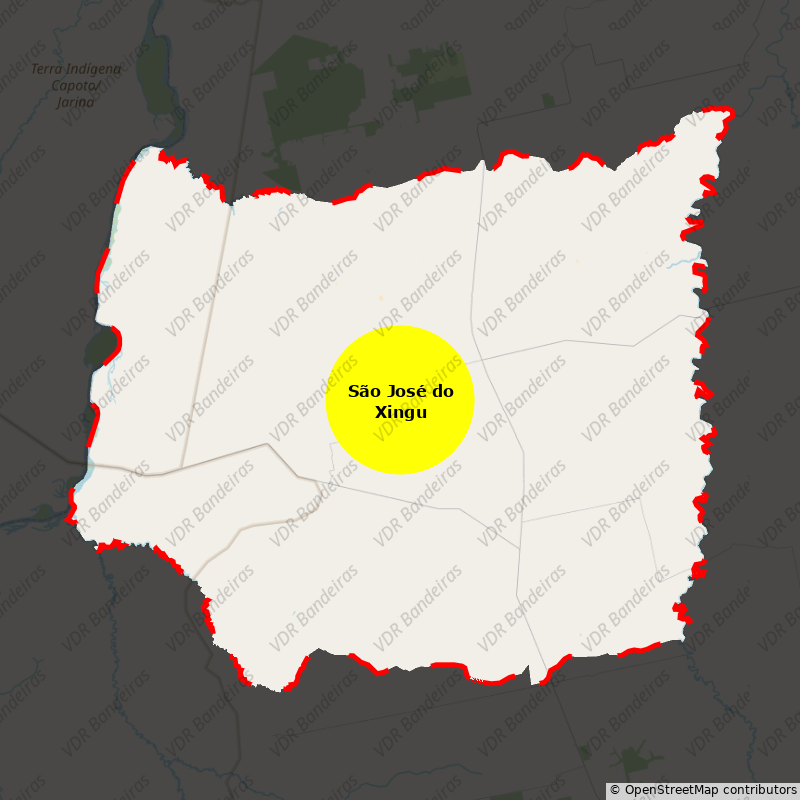 Imagem da Bandeira São José do Xingu